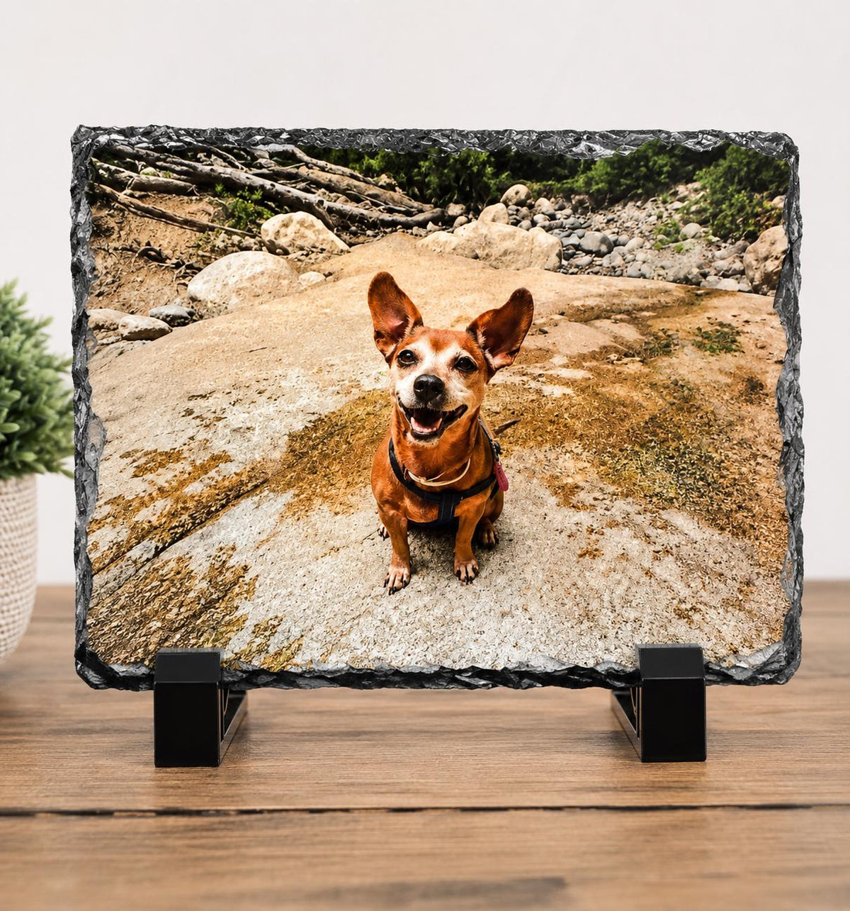 Pet Photo Slate 5" x 3"
